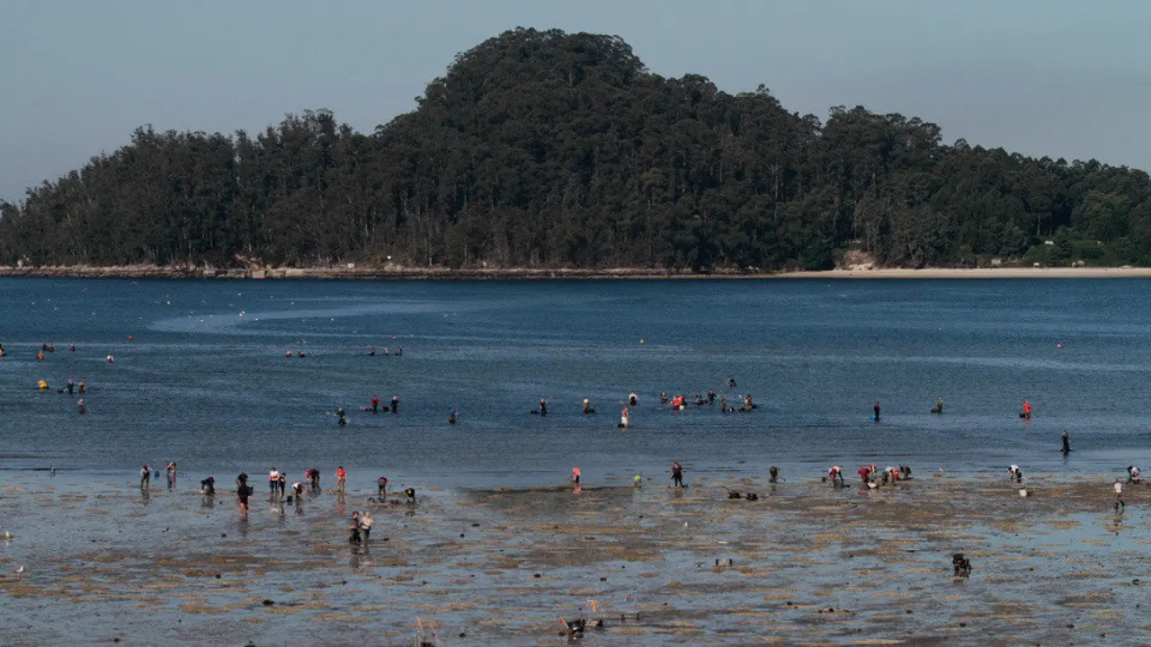 Mariscadoras faenando en la ría, con la isla de Tambo al fondo. GONZALO GARCÍA (ADP)