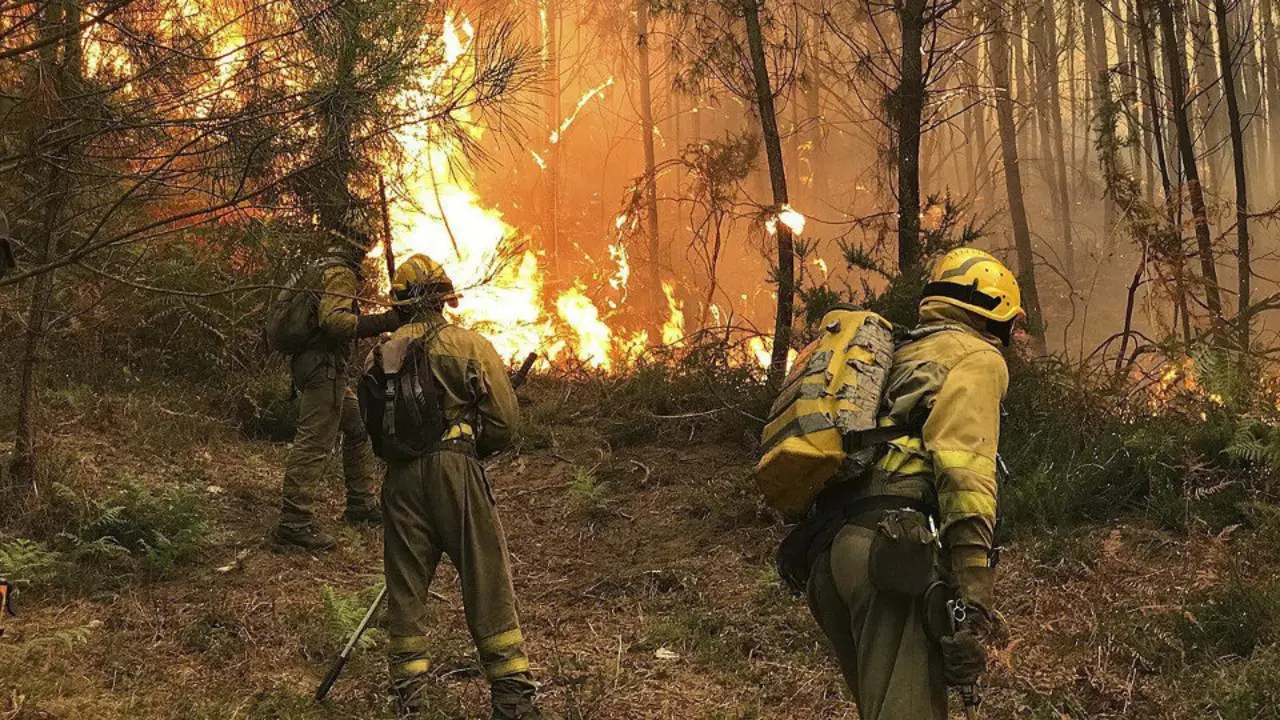 Incendios en octubre. DP