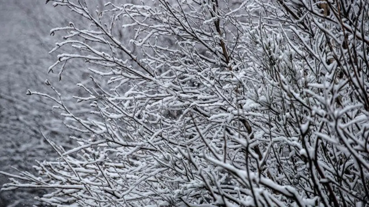 La Xunta activó la alerta por nieve en la montaña de Lugo y Ourense. BRAIS LORENZO (EFE)