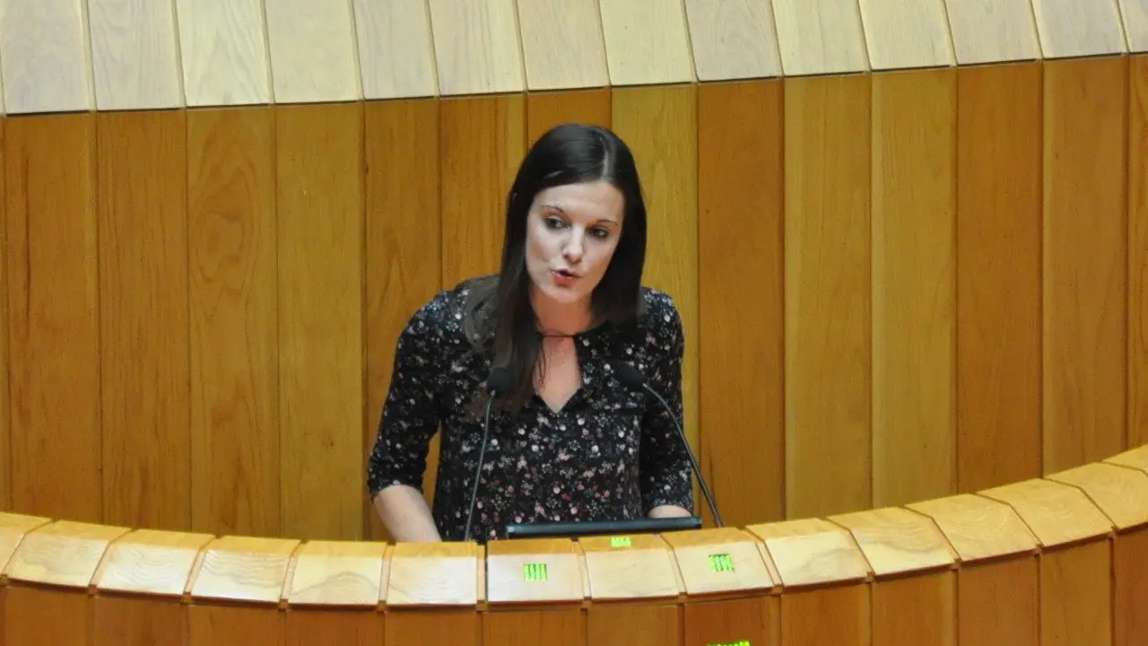 Olalla Rodil, no Parlamento galego. ADP