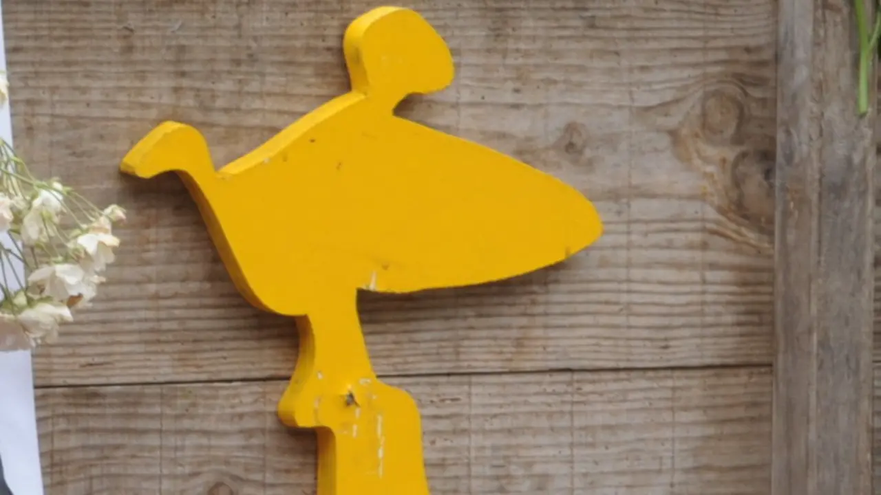 Mascota do Festival de Cans. ADP