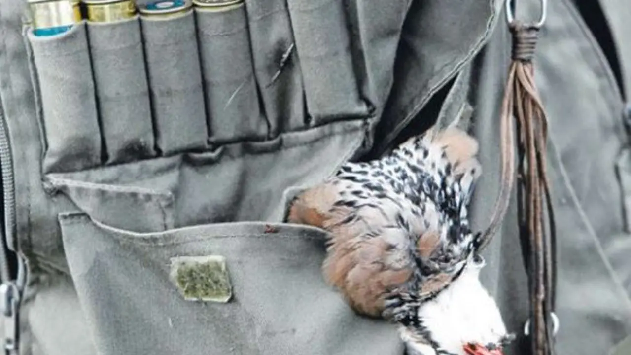 Un cazador exhibe una pieza cobrada. EP