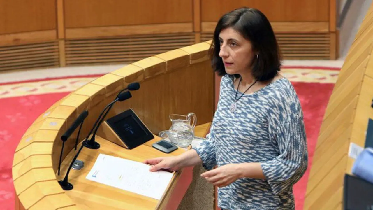 A conselleira do Medio Rural, Ángeles Vázquez, este martes ante o pleno do Parlamento de Galicia para informar sobre o futuro da PAC. XOÁN REY (EFE)