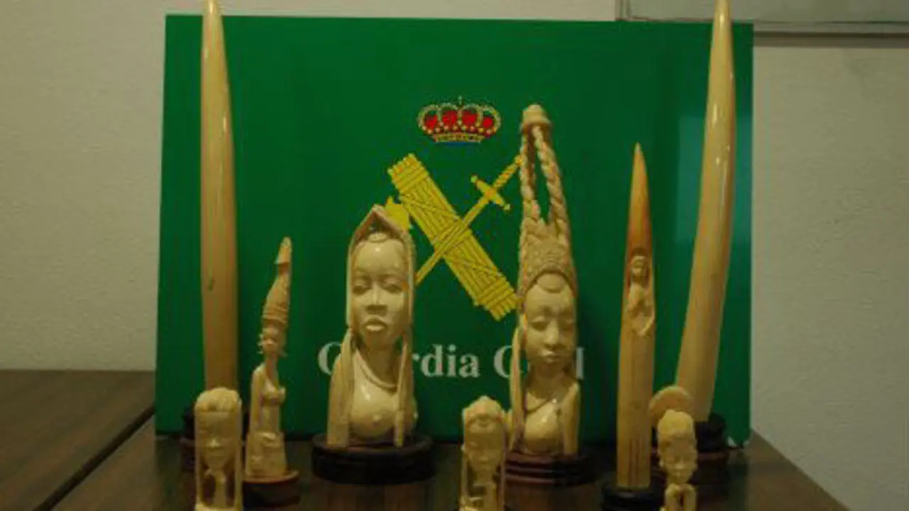 Figuras de marfil incautadas en A Coru&ntilde;a. GC