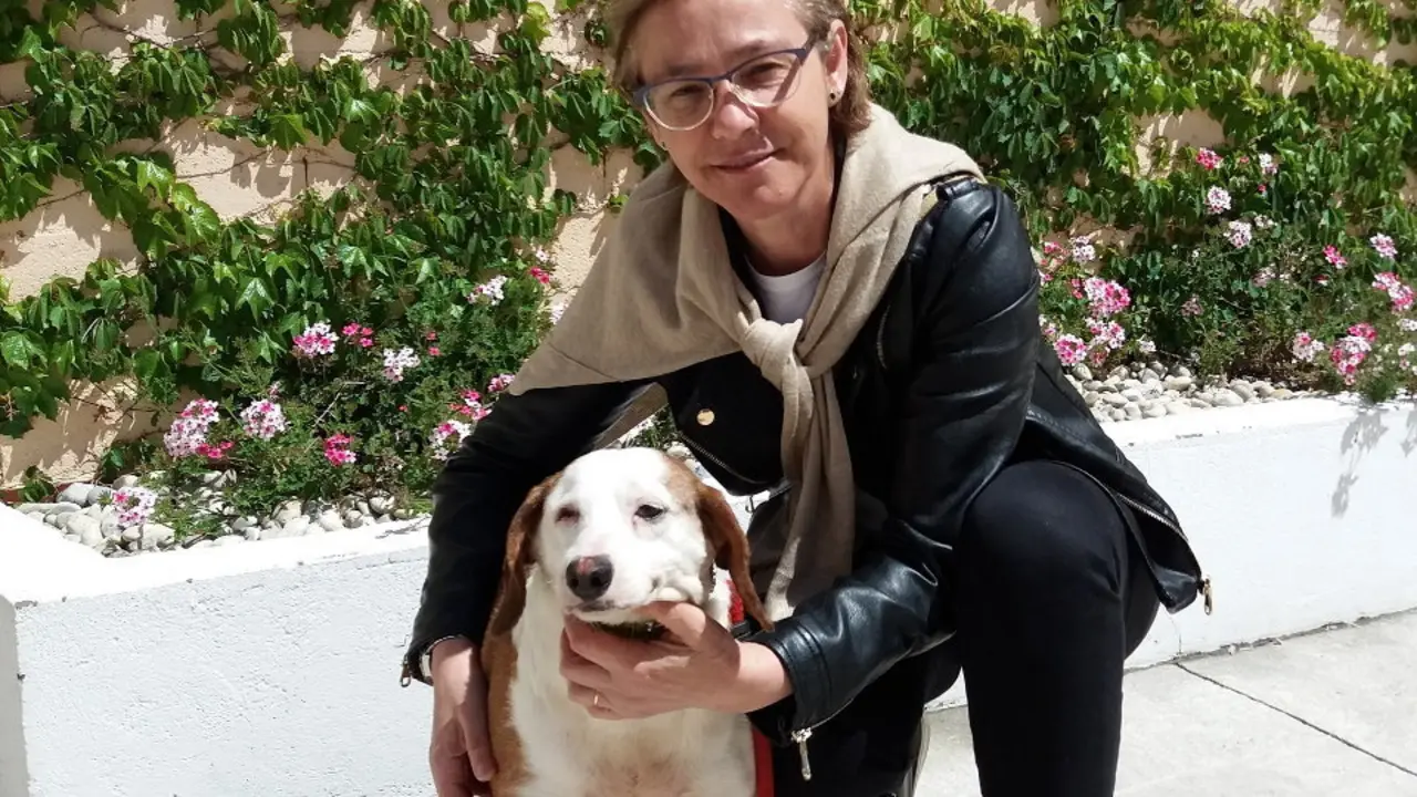 La perra Chini, en el centro de acogida animal de la Diputación de Pontevedra. DP