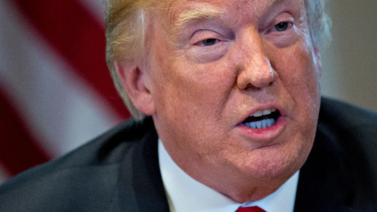 Donald Trump. ANDREW HARRER (Efe)