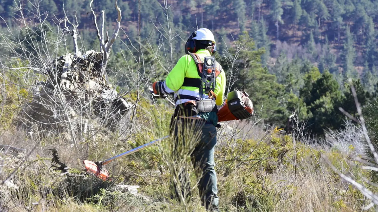 Un traballador deTragsa limpando un monte. EP