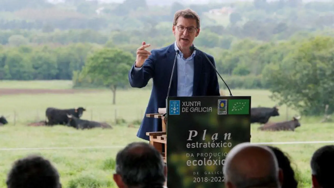 Alberto Núñez Feijóo, en Abadín. ELISEO TRIGO (EFE)