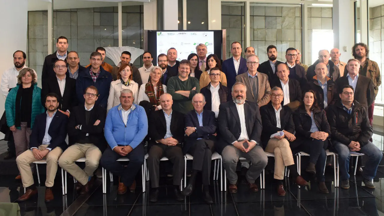 La cadena de valor de la madera de Galicia, impulsora de la manifestación del domingo, presentó una propuesta de consenso para el grupo del sector forestal: la idea es que solo un monte viable económicamente revivirá el rural. EP