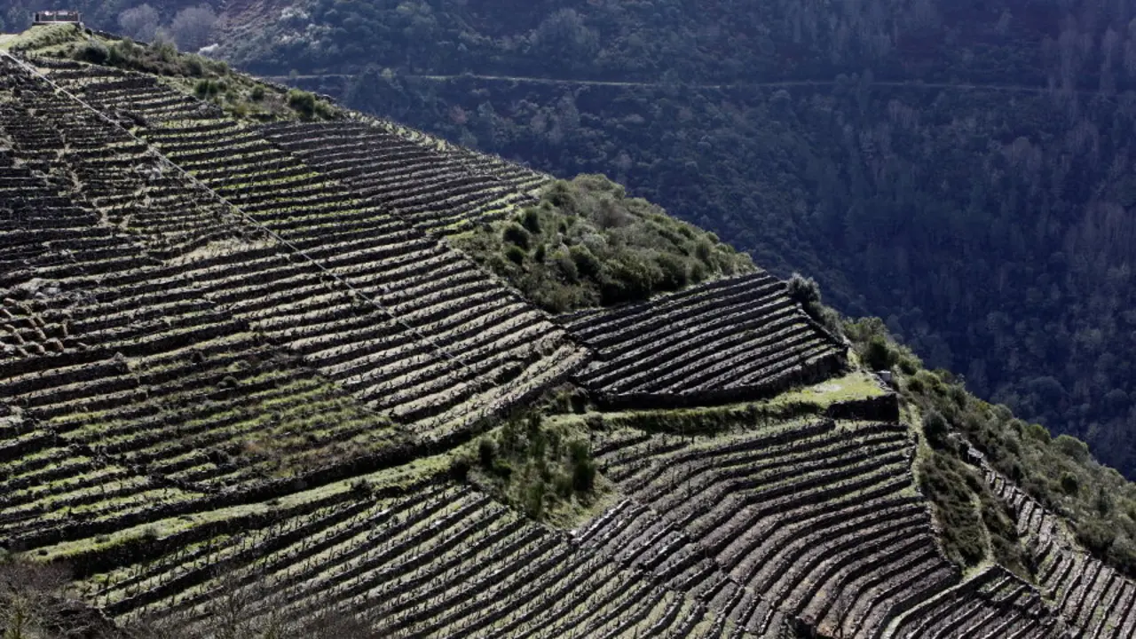 Ribeira Sacra. PEPE TEJERO