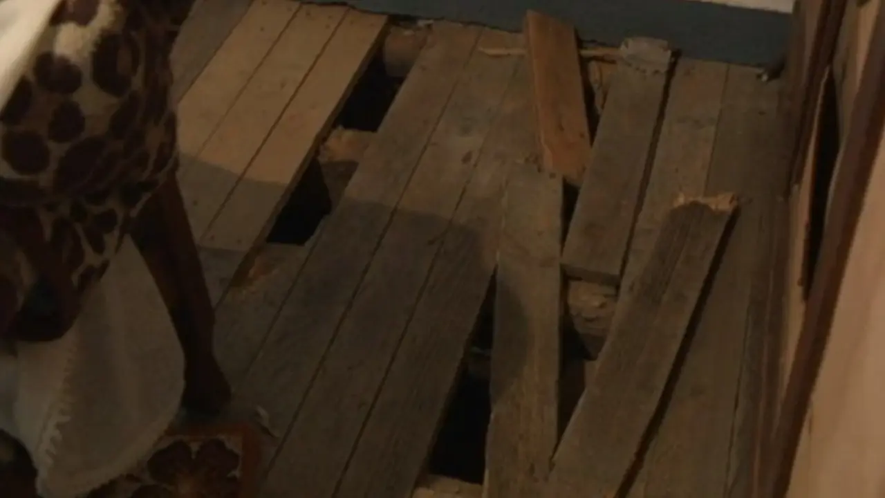 Chan da casa na que roubaron en Amoeiro. CRTVG.ES