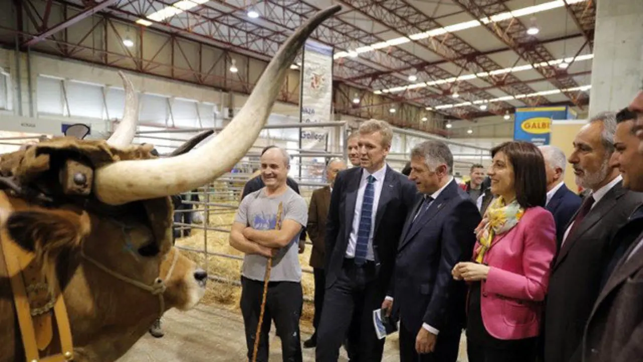 Rueda y Vázquez, en la inauguración de la Feria Internacional Abanca Semana Verde de Galicia. LAVANDEIRA JR (EFE)