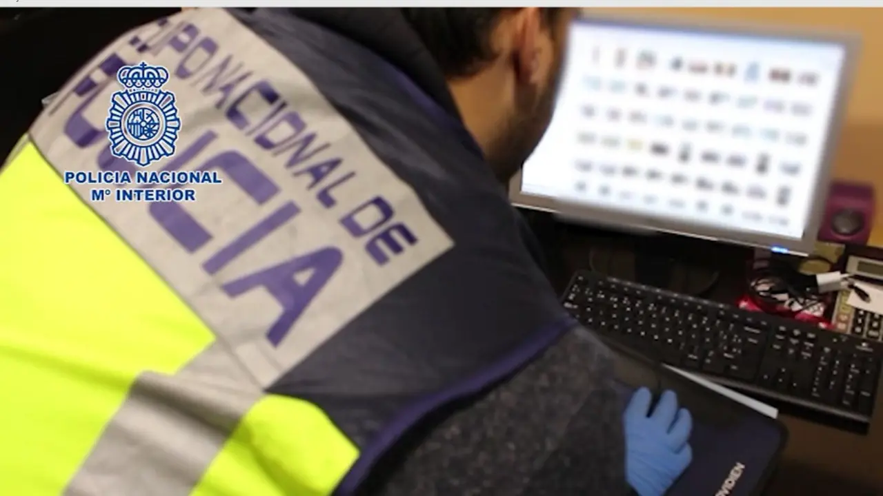 Operación contra la pornografía infantil. AEP