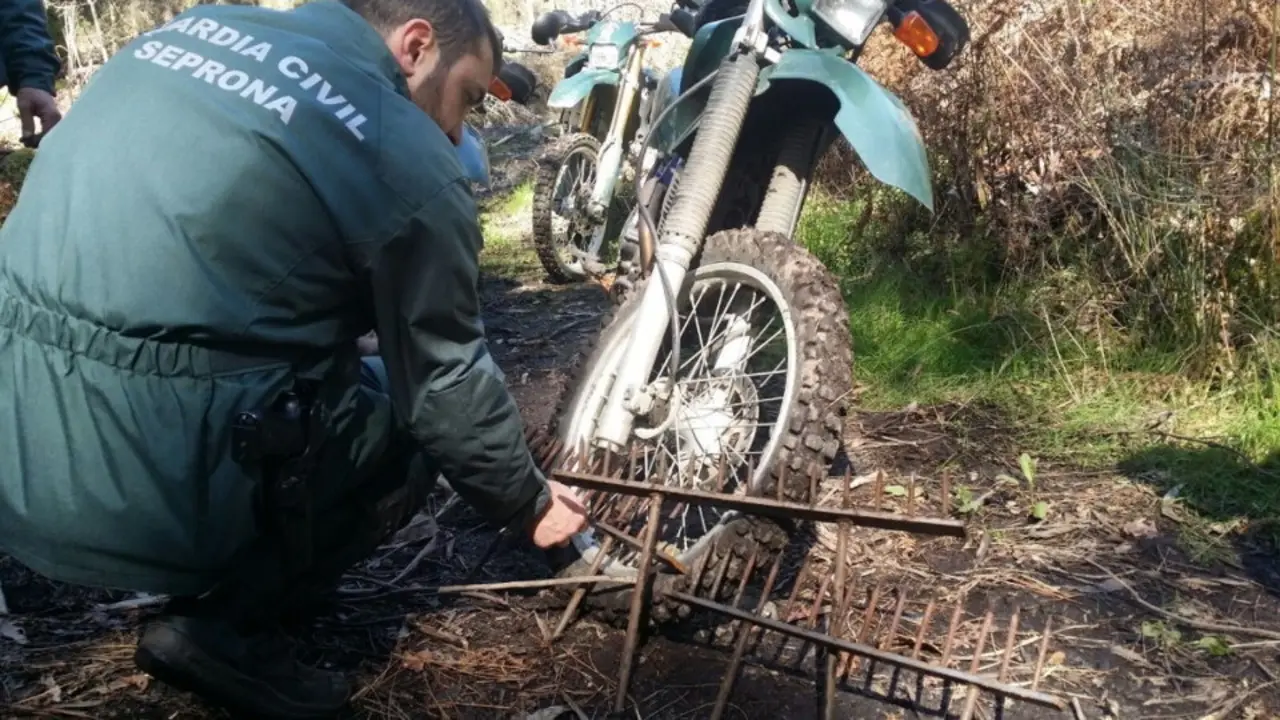 Trampa para ciclista hallada por el Seprona en un monte de Gondomar. ADP
