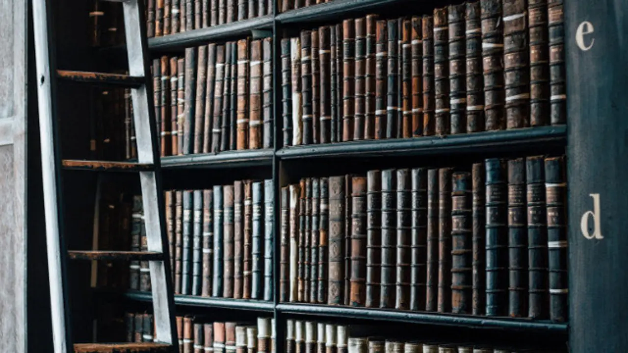 Estanter&iacute;a con libros. EP