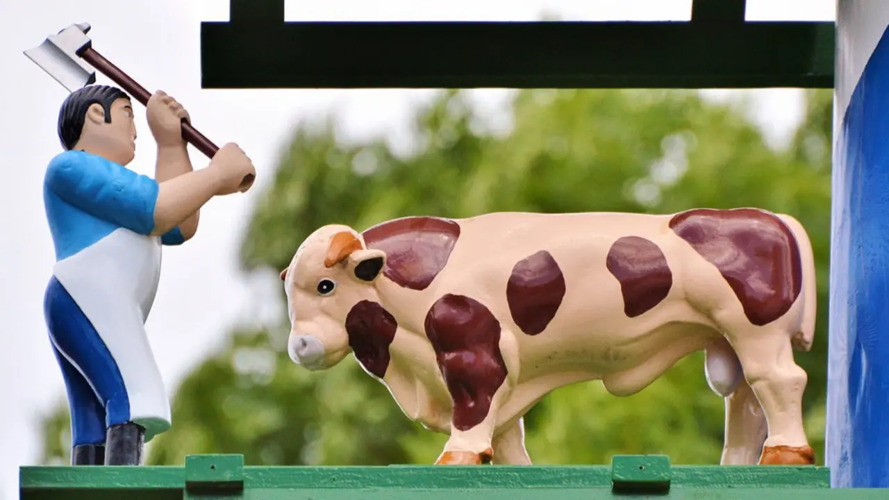 Aún hay futuro para algunos oficios de siempre. EP