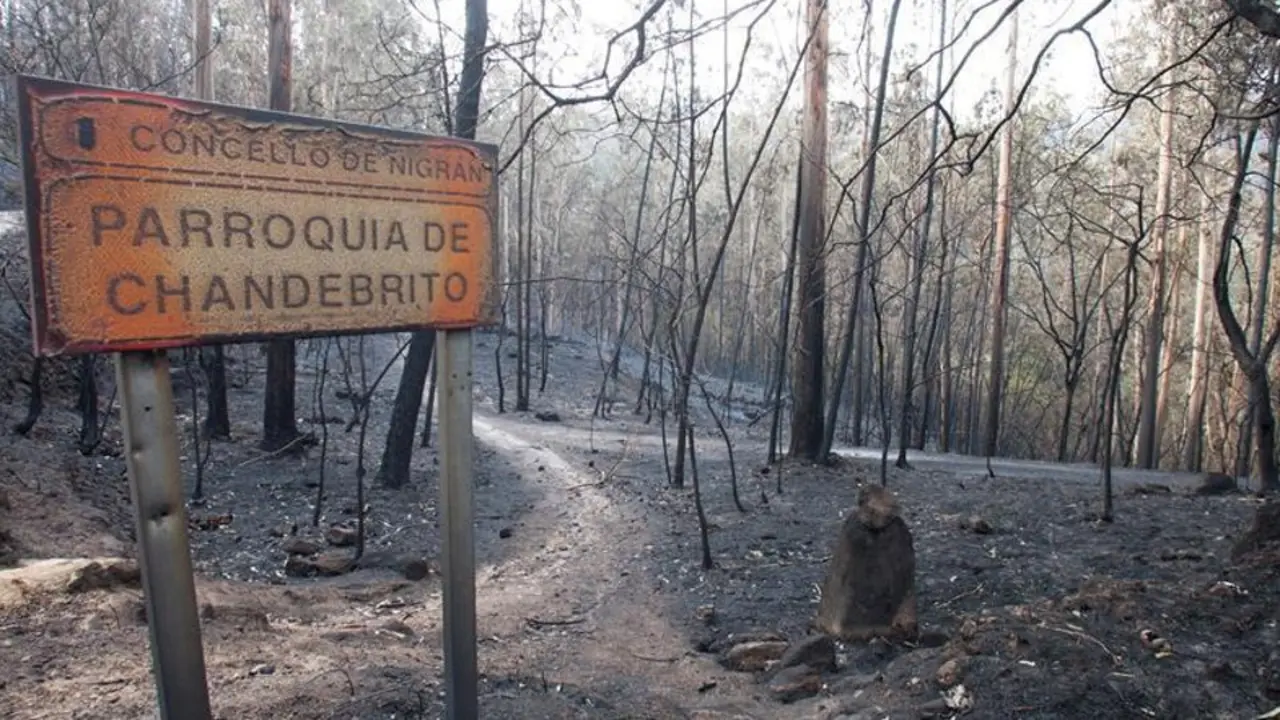 Zona arrasada por el fuego en Nigrán. AEP