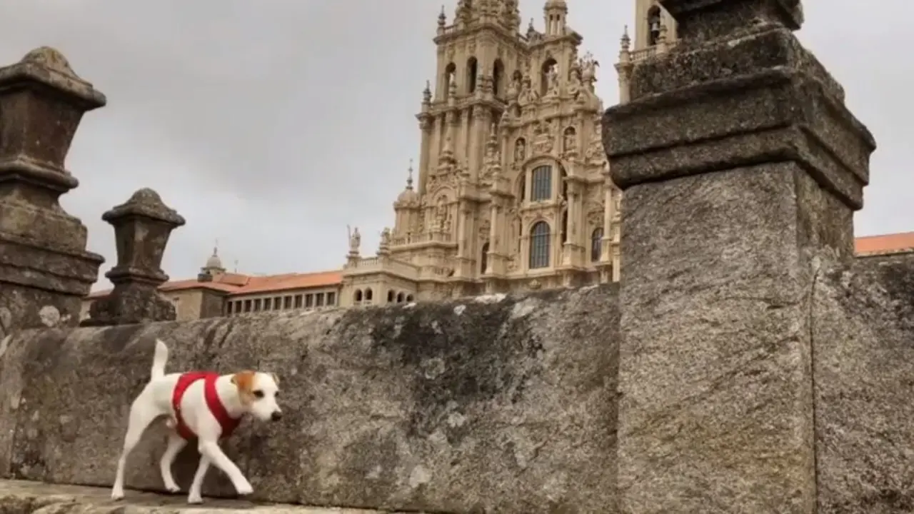 Pipper en Santiago. AEP