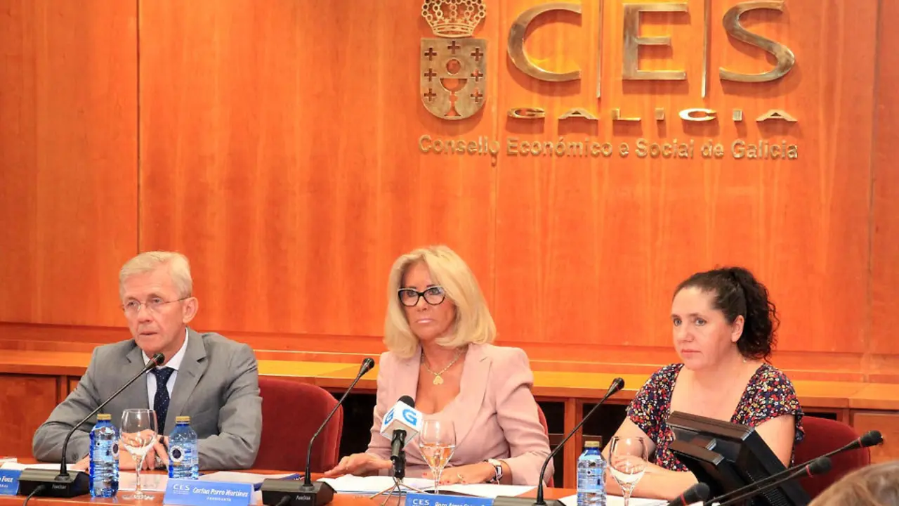 Consello Econ&oacute;mico e Social. PEPE FERR&Iacute;N (AGN)