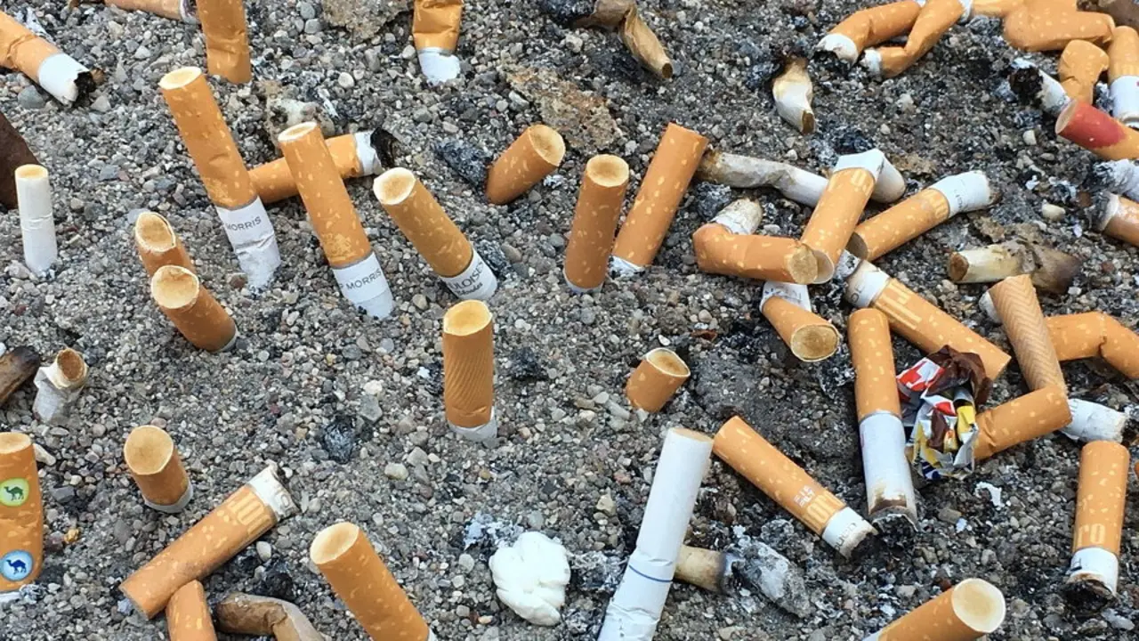 Colillas de cigarrillo. EP