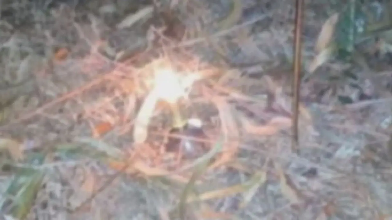 Artefacto incendiario localizado en Santa Comba. TVG