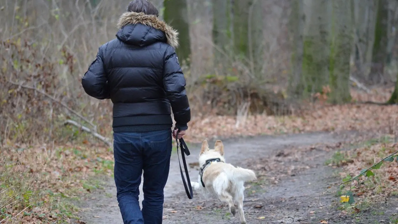 Un hombre pasea a su perro. INTERNET