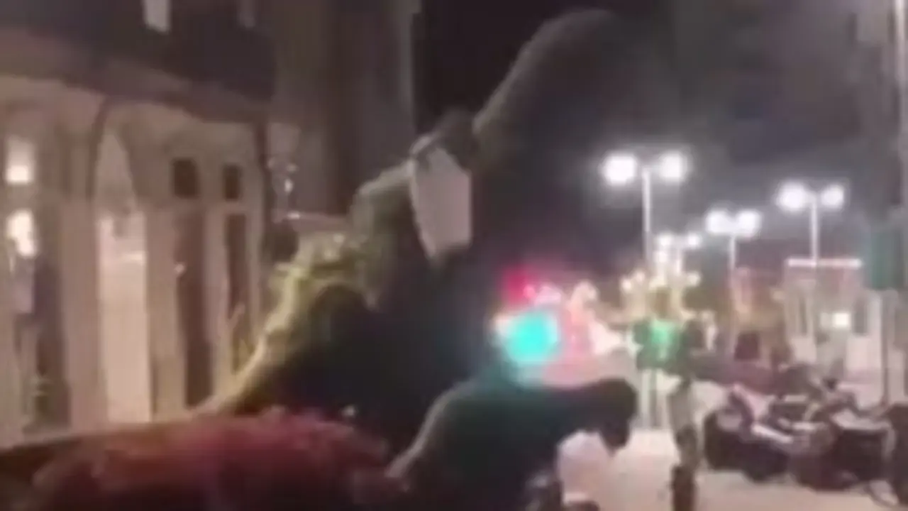 Decapitación de Dinosetiño. TWITTER