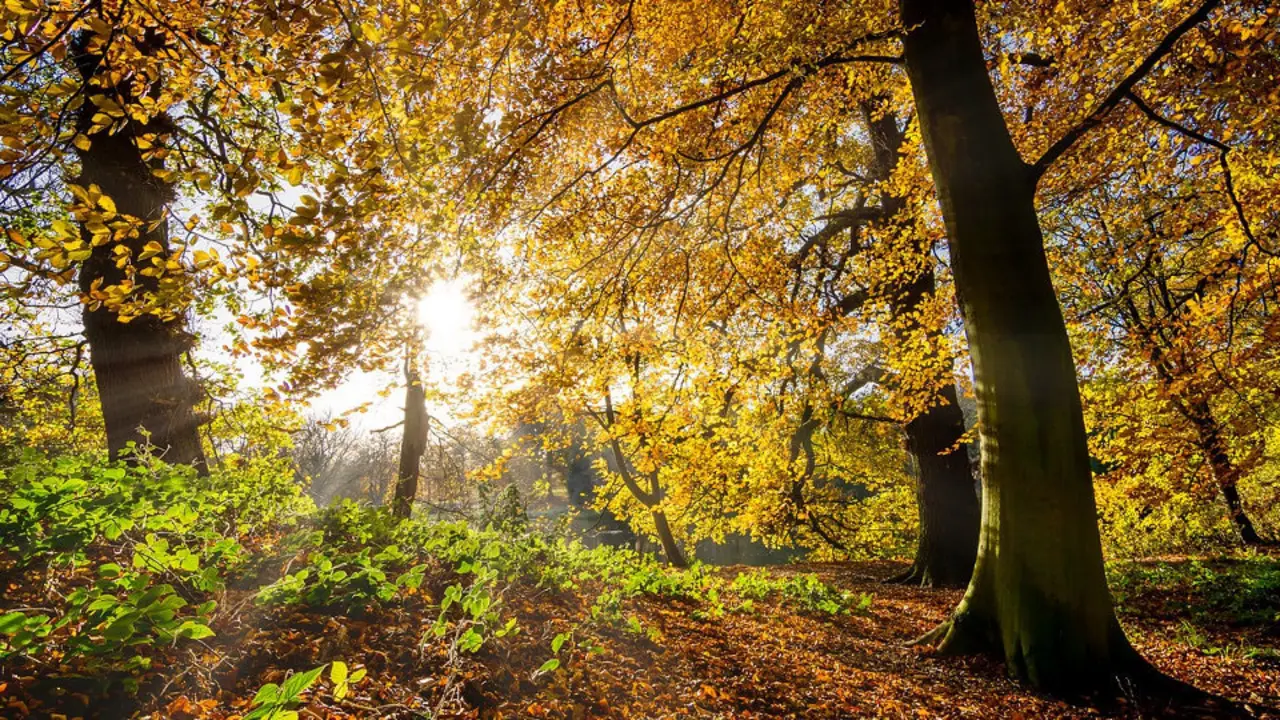 El sol ilumina y calienta un paisaje otoñal.AEP