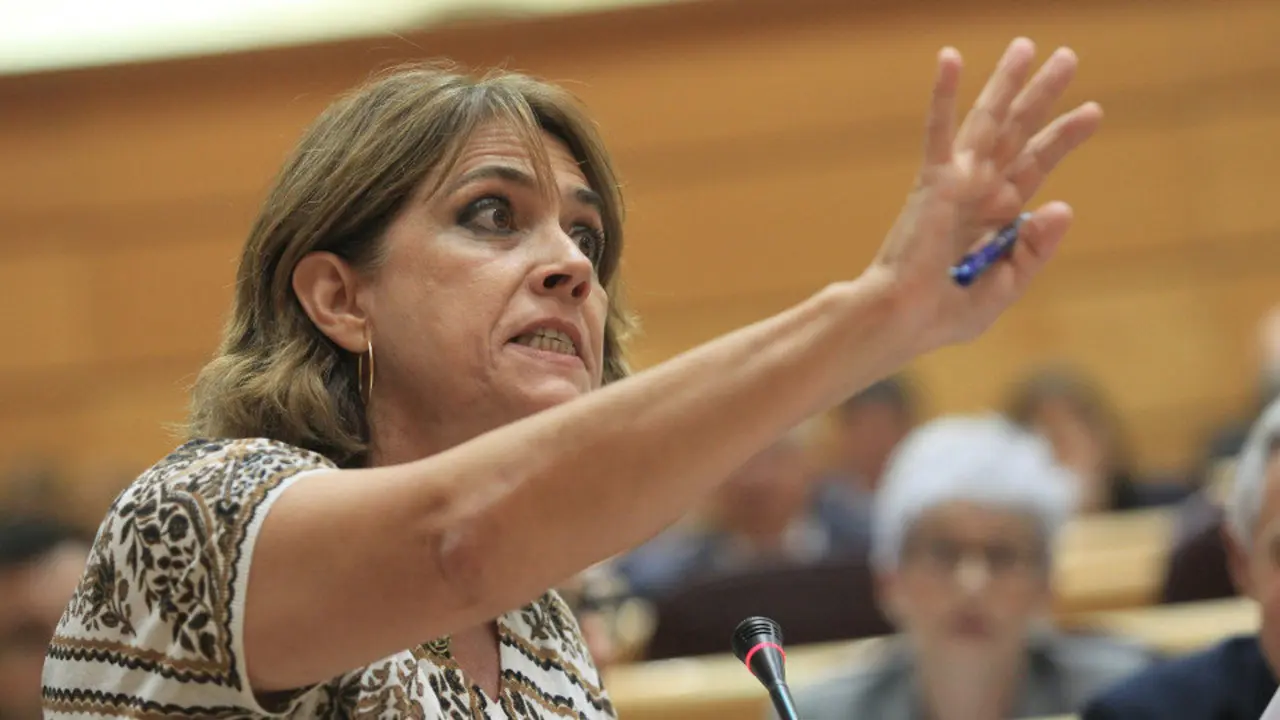 La ministra Delgado, en el Senado. ZIPI