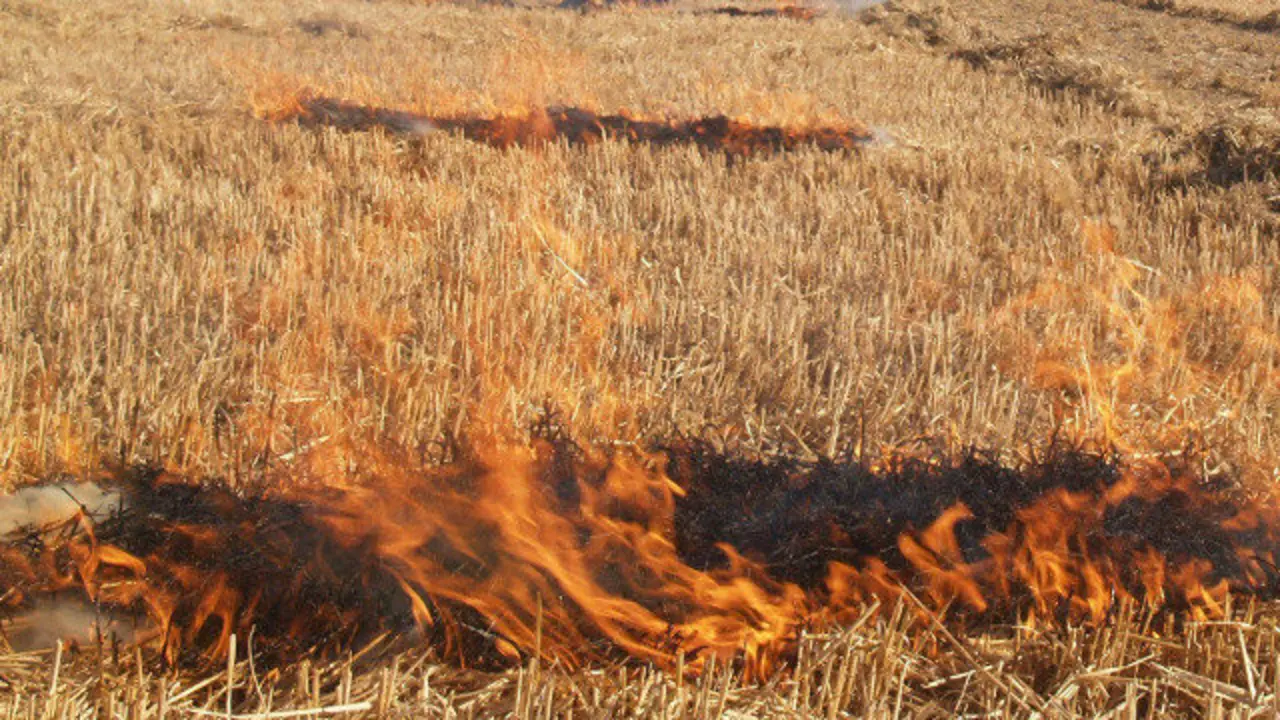 Imagen de una quema de rastrojos. EP