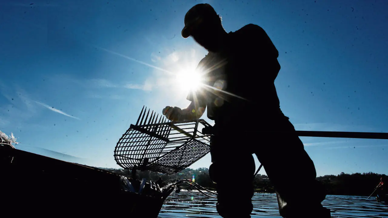 Furtivos, mariscadores, marisqueo. ADP