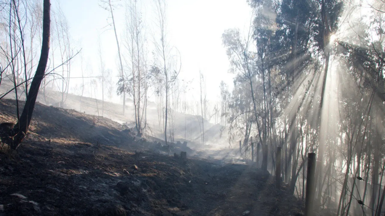 Mondariz, horas después del voraz incendio que devoró 150 hectáreas. SALVADOR SAS