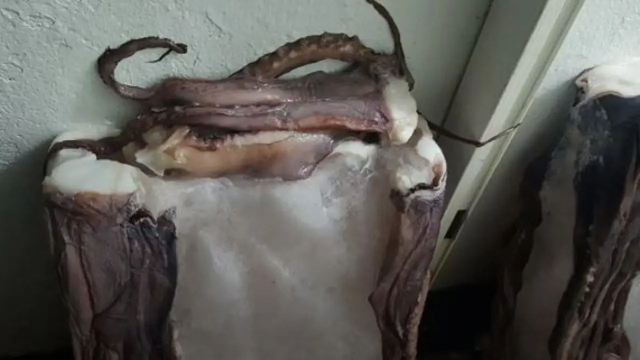 El bloque de hielo con las patas de pulpo. TVG