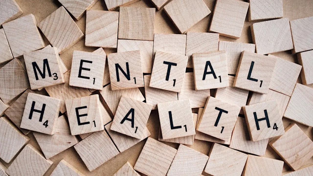 La OMS señala que la inversión por parte de los gobiernos y la participación de los sectores sociales es "esencial" para mejorar la salud mental de los adolescentes. PIXABAY