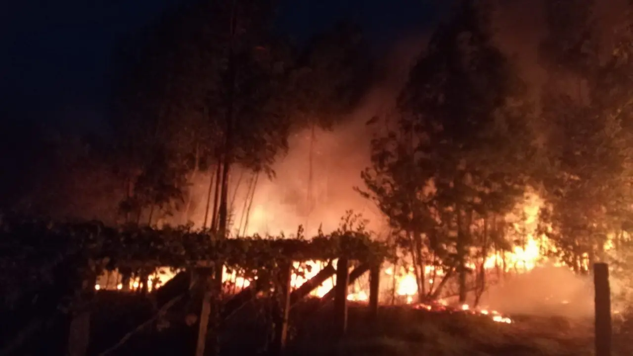 Incendio declarado en Cambados. DP