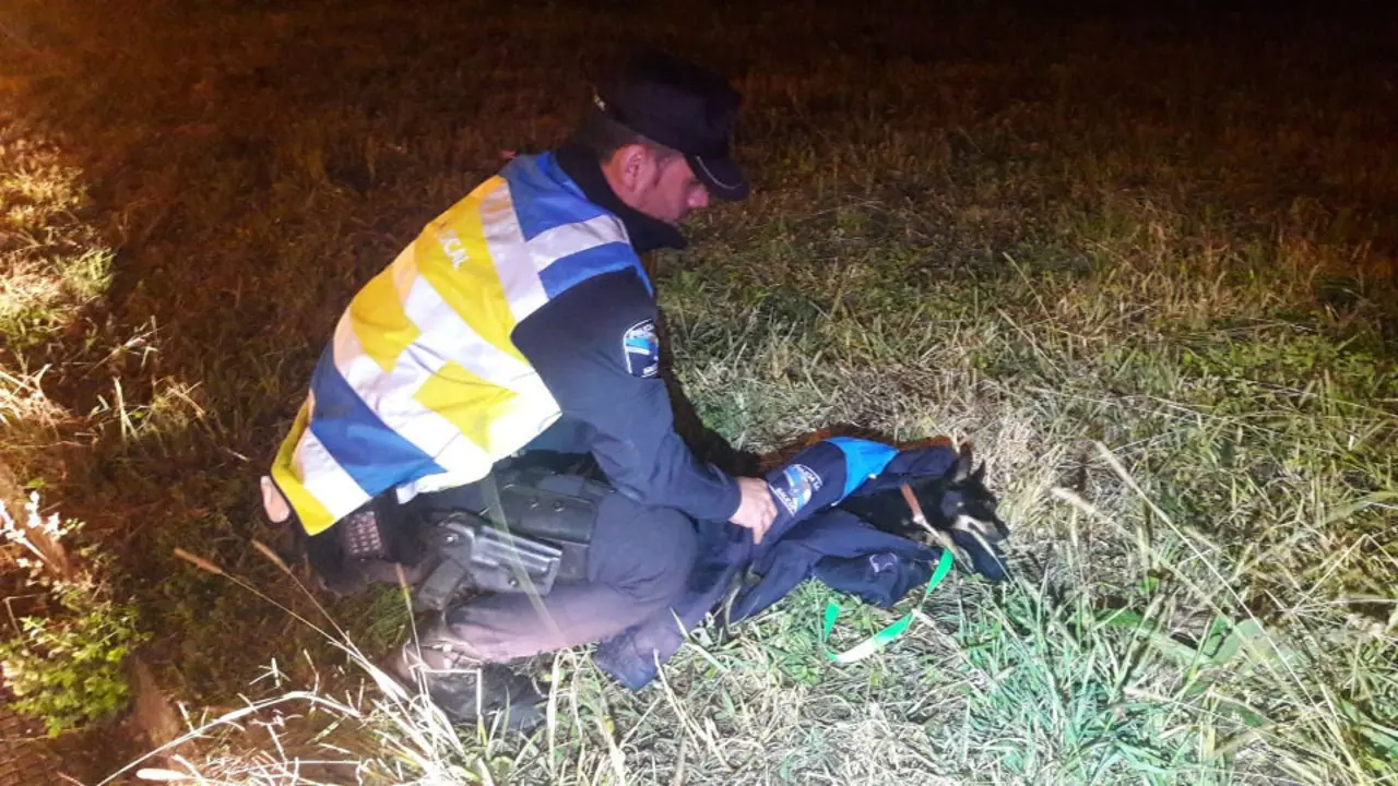 Can rescatado. GALICIAÉ