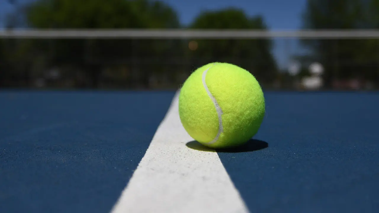 Pelota de tenis. DP