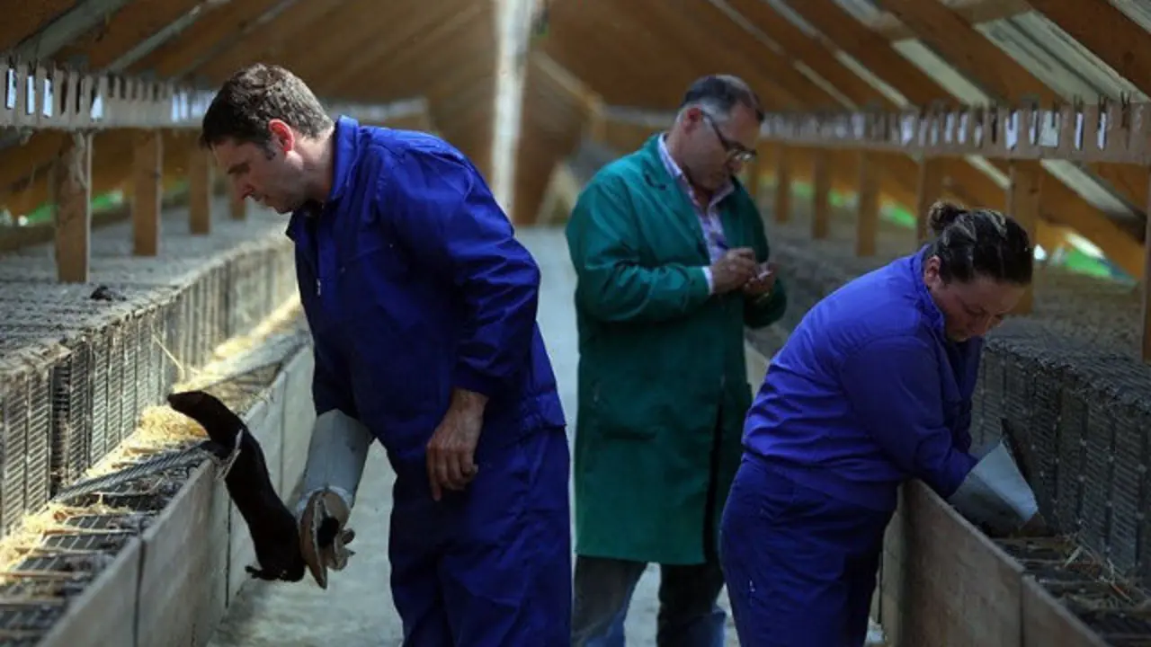 Granja de visones. AEP