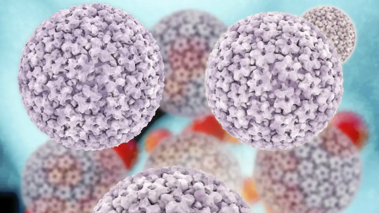 El virus del papiloma humano es la enfermedad de transmisión sexual más frecuente. AEP