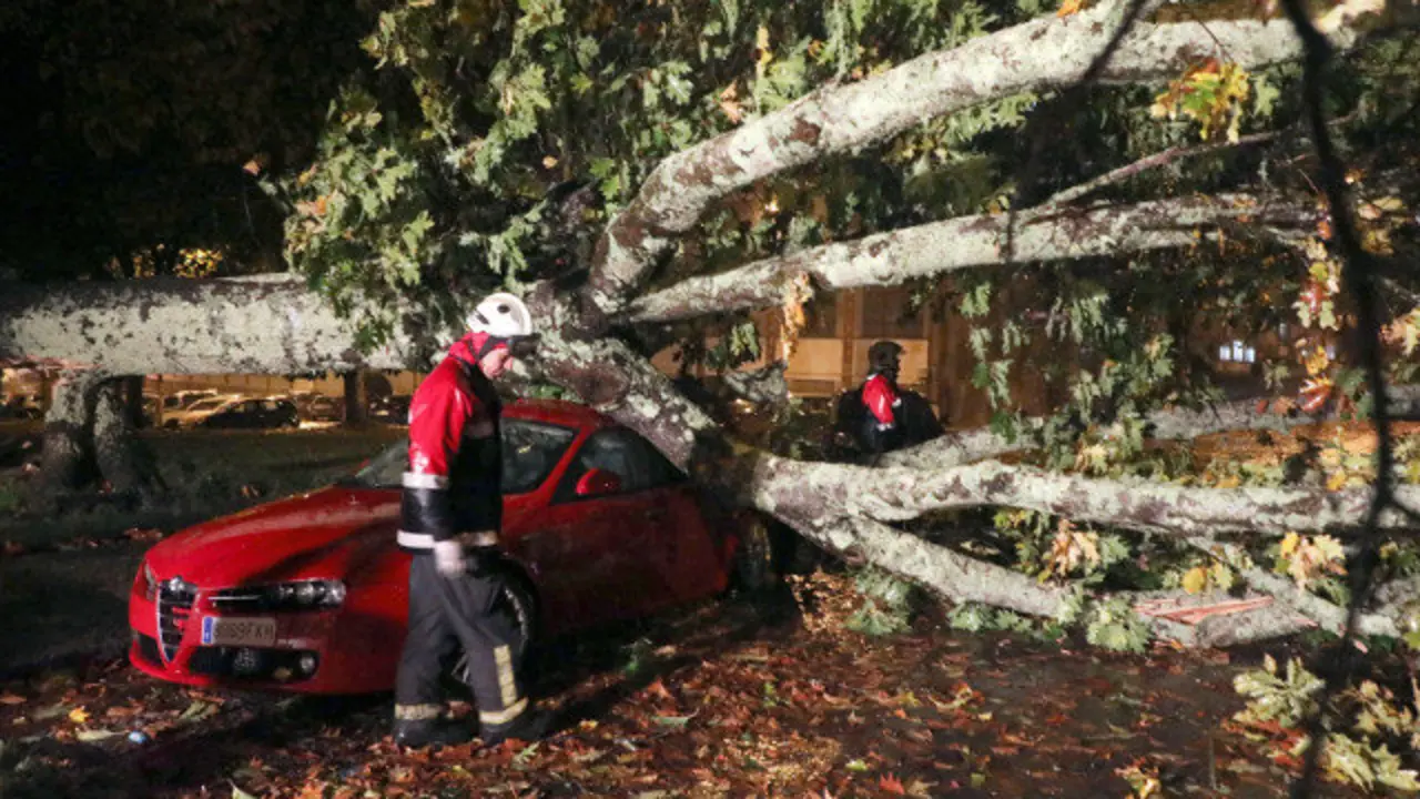 Os bombeiros de Santiago retiran unha árbore que caeu sobre varios coches no Campus Sur. XOÁN REY (EFE)