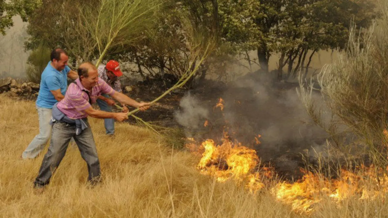 Vecinos de la localidad de Gudín (Xinzo de Limia) realizan labores de extinción para intentar controlar un incendio en 2015. AEP