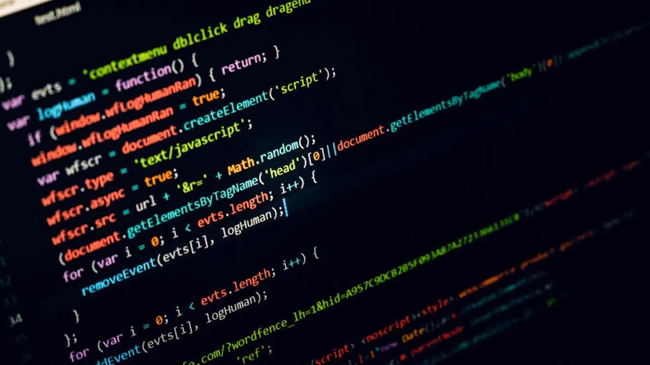 La decisión dependerá de un órgano ejecutivo y no de uno judicial. (propiedad intelectual, piratería)