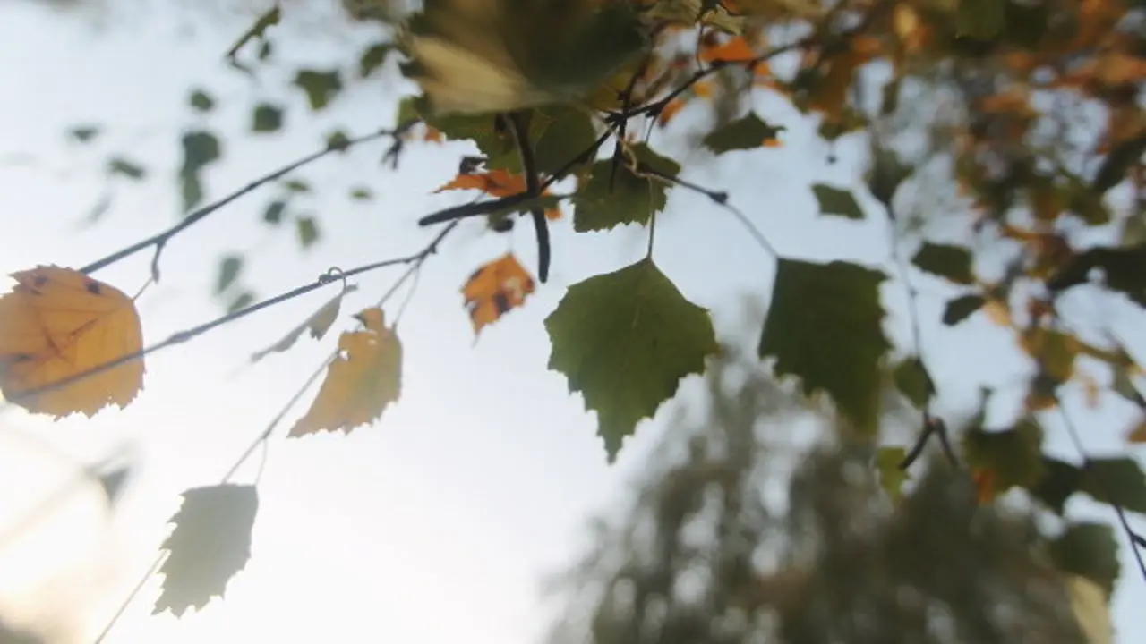 Este martes espérase unha xornada asollada. VITORIA RODRÍGUEZ