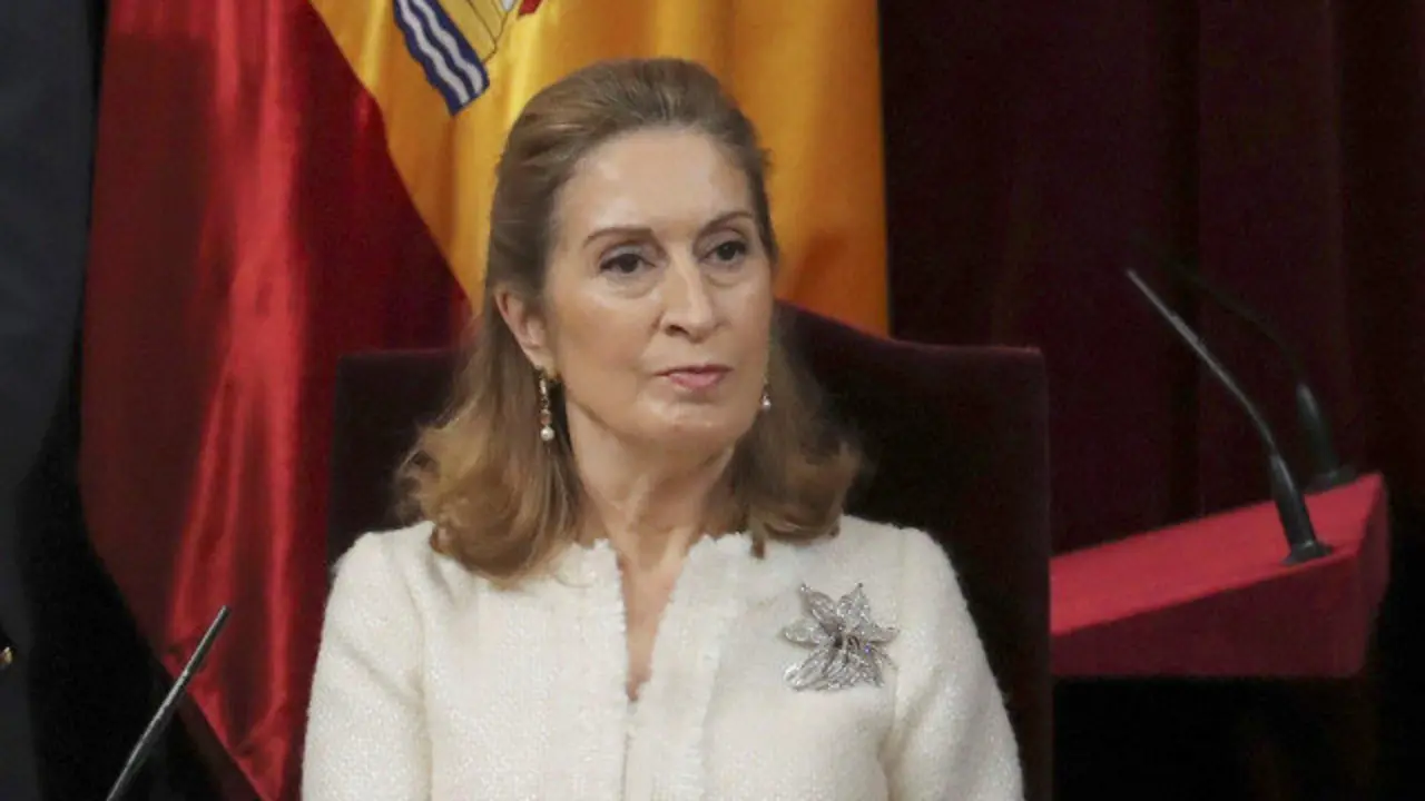 Ana Pastor, durante los actos del Día de la Constitución ZIPI