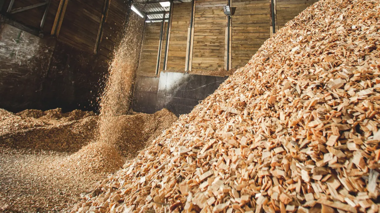 Astillas de madera. EP