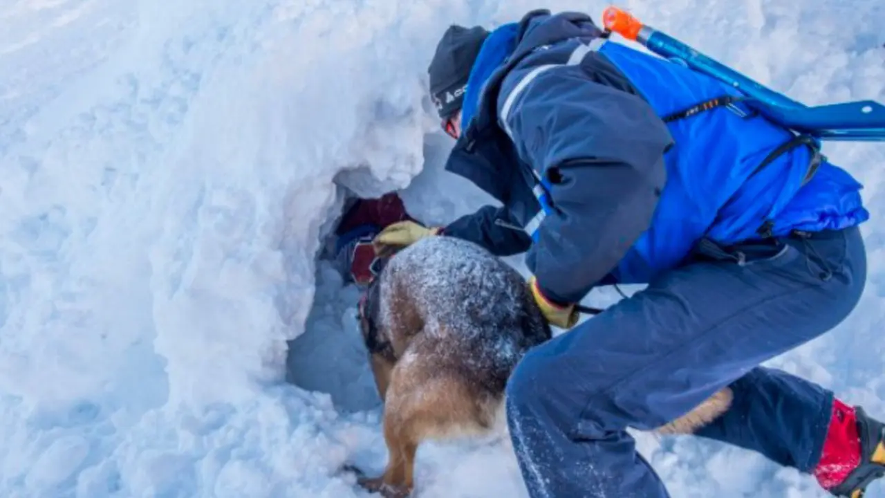 Niño rescatado en los Alpes