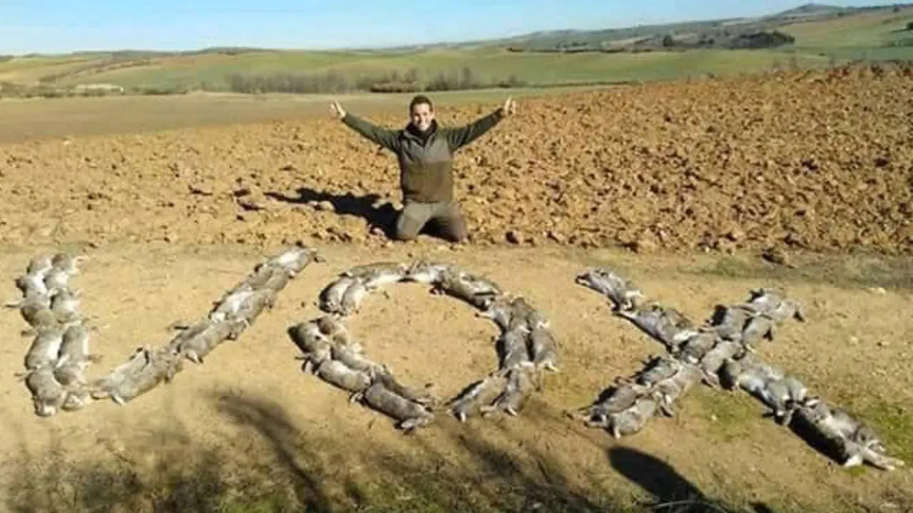 Un cazador forma con unos conejos la palabra Vox. TWITTER