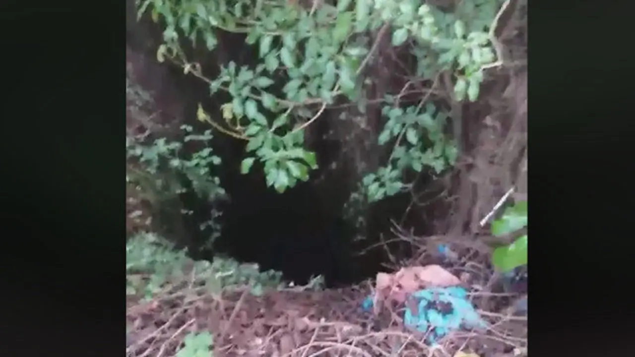 Imagen del pozo extraída del vídeo publicado por Amparo Castro. FACEBOOK