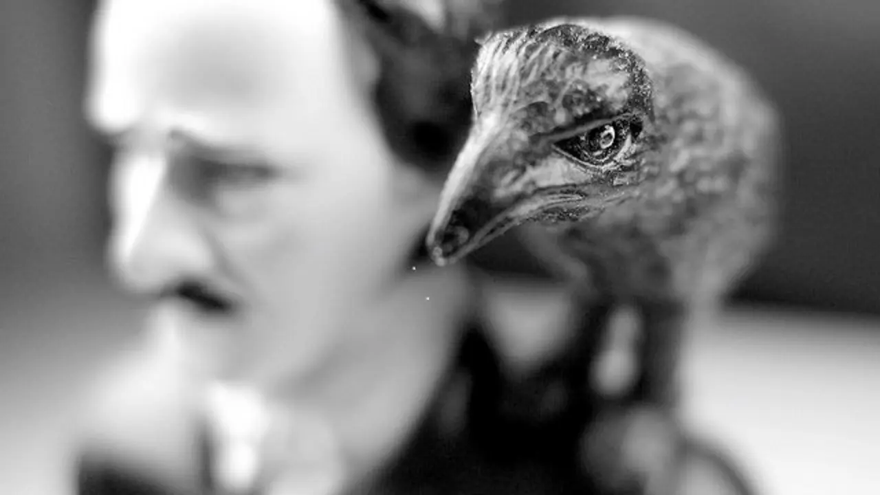 'The Raven', de Kevin Dooley.