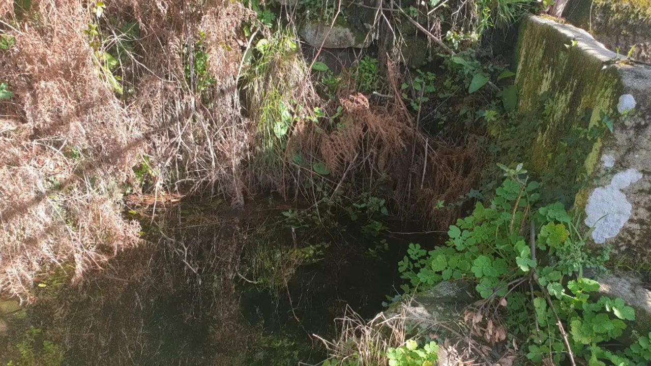 El pozo al que cay&oacute; la vecina de Louriz&aacute;n. S.M.